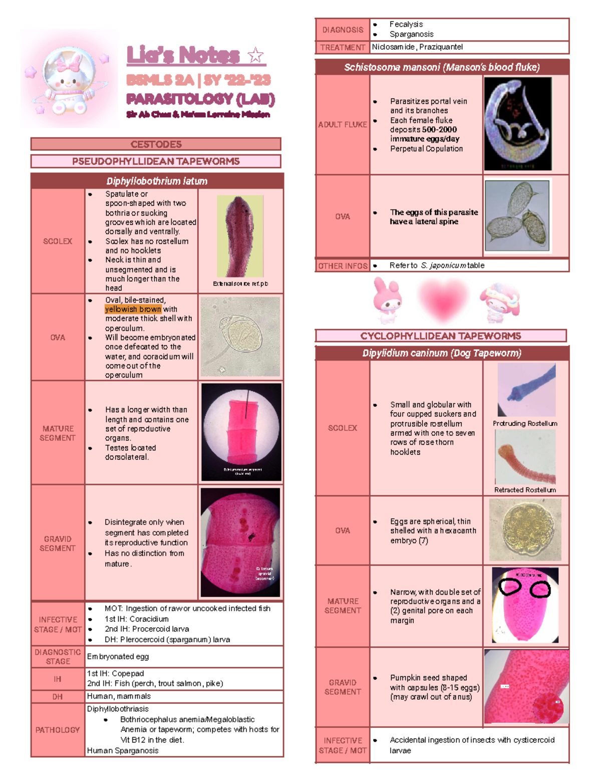 Compiled Notes on Cestodes to Trematodes - Lia’s Notes BSMLS 2A | SY ...