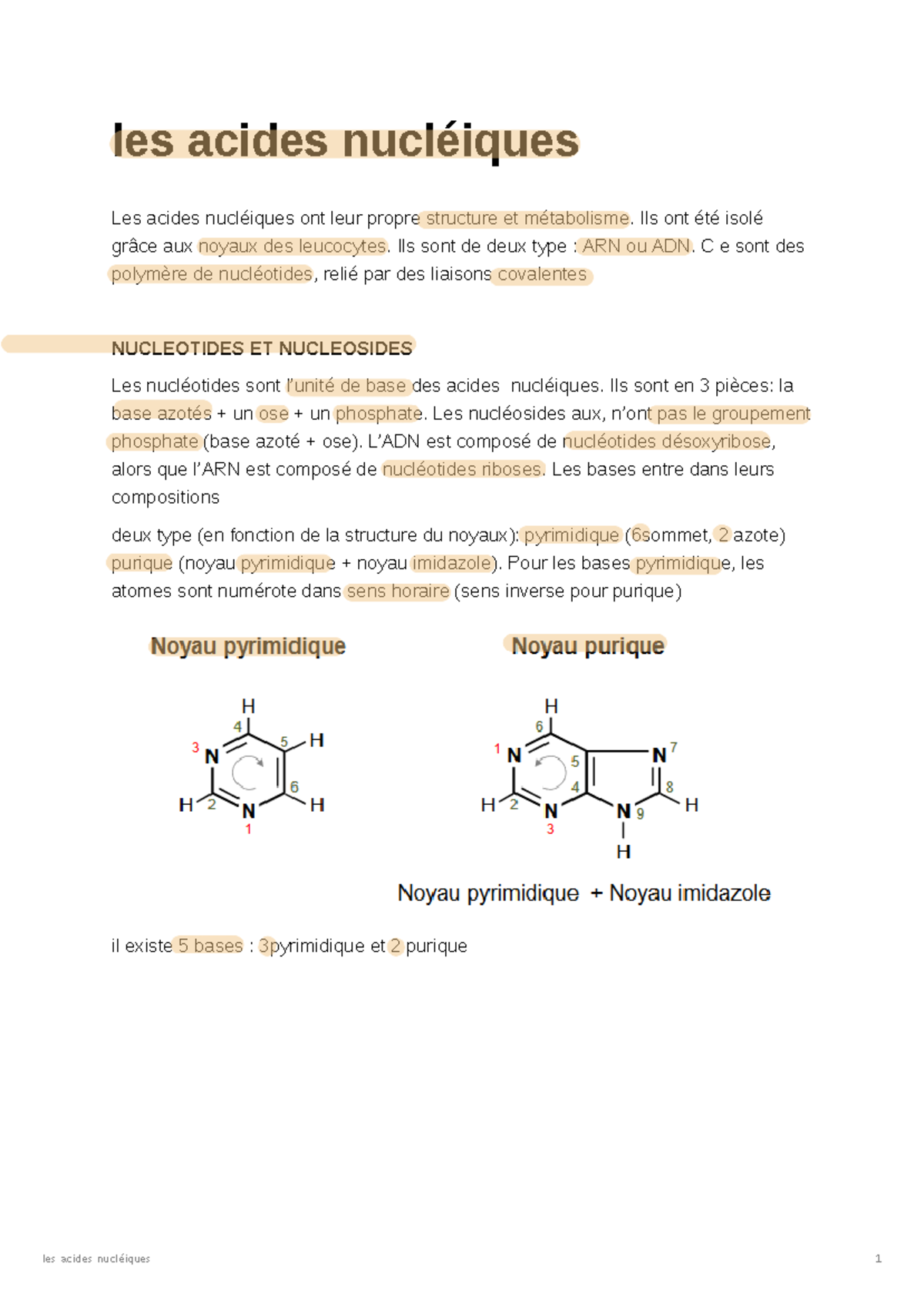 Les Acides Nucléiques - Les Acides Nucléiques Les Acides Nucléiques Ont ...