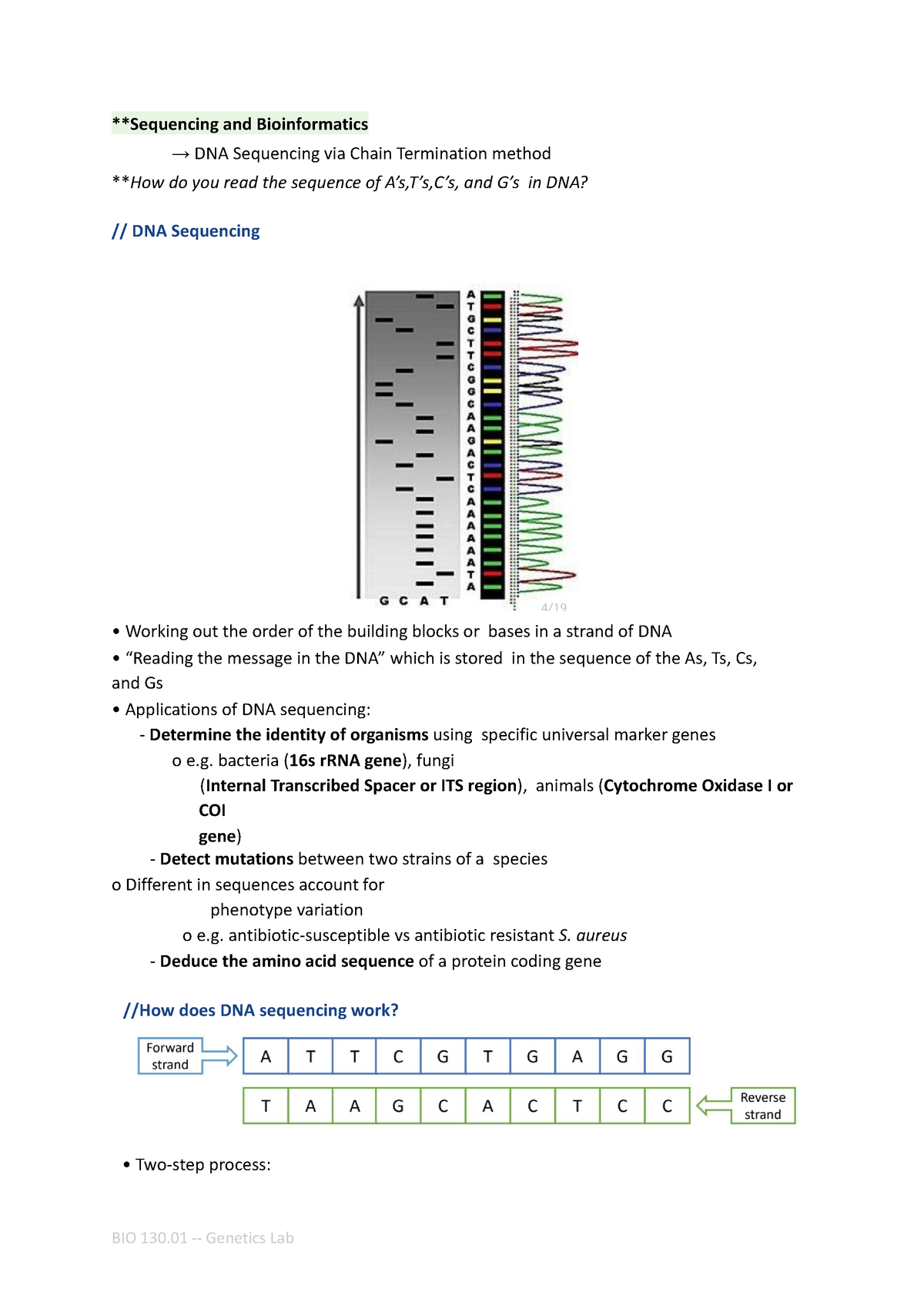 Sequencing and Bioinformatics - bacteria ( 16s rRNA gene ), fungi ...