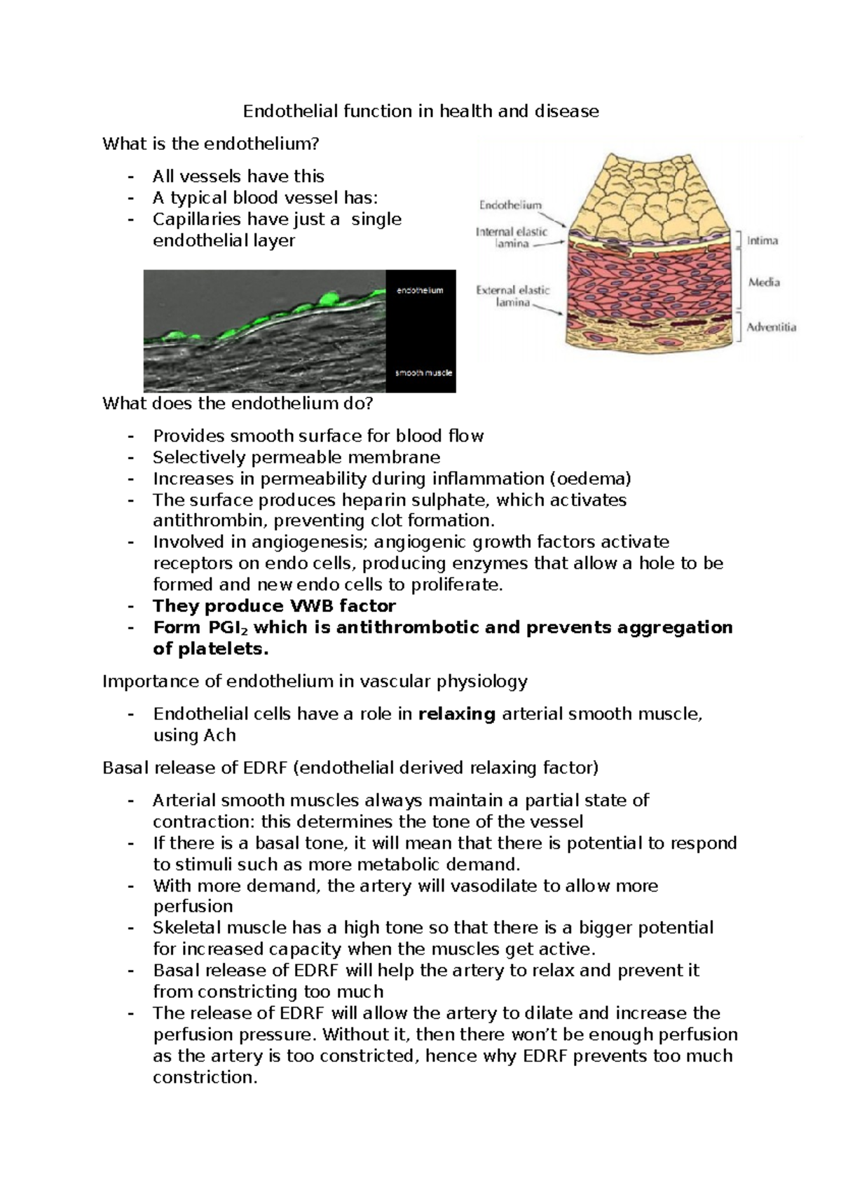 Endothelial function in health and disease - Involved in angiogenesis ...