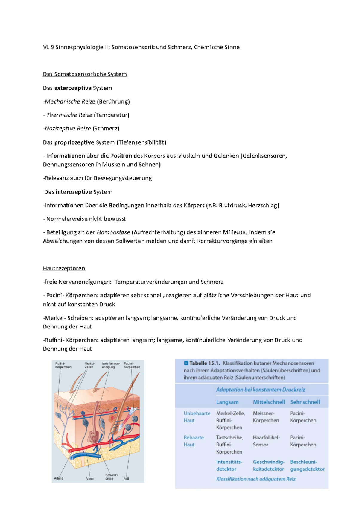VL 9 - VL 9 Zusammenfassung - VL 9 Sinnesphysiologie II: Somatosensorik ...