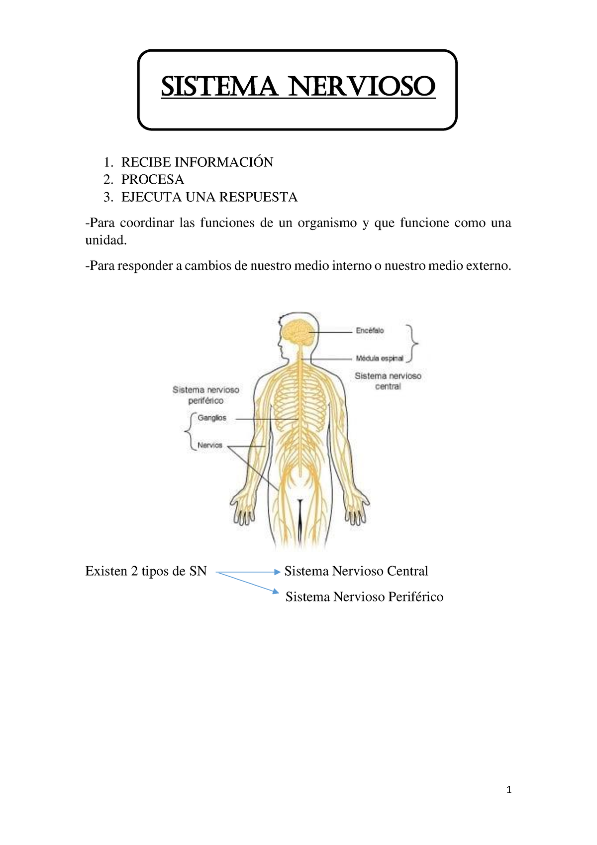 Resumen 1° Parcial Neurofisiologia - Sistema Nervioso 1. RECIBE ...