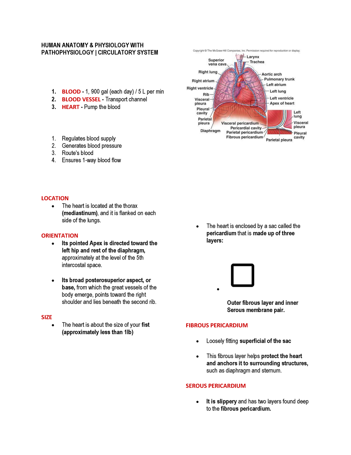 Cardiovascular - Finals - HUMAN ANATOMY & PHYSIOLOGY WITH ...