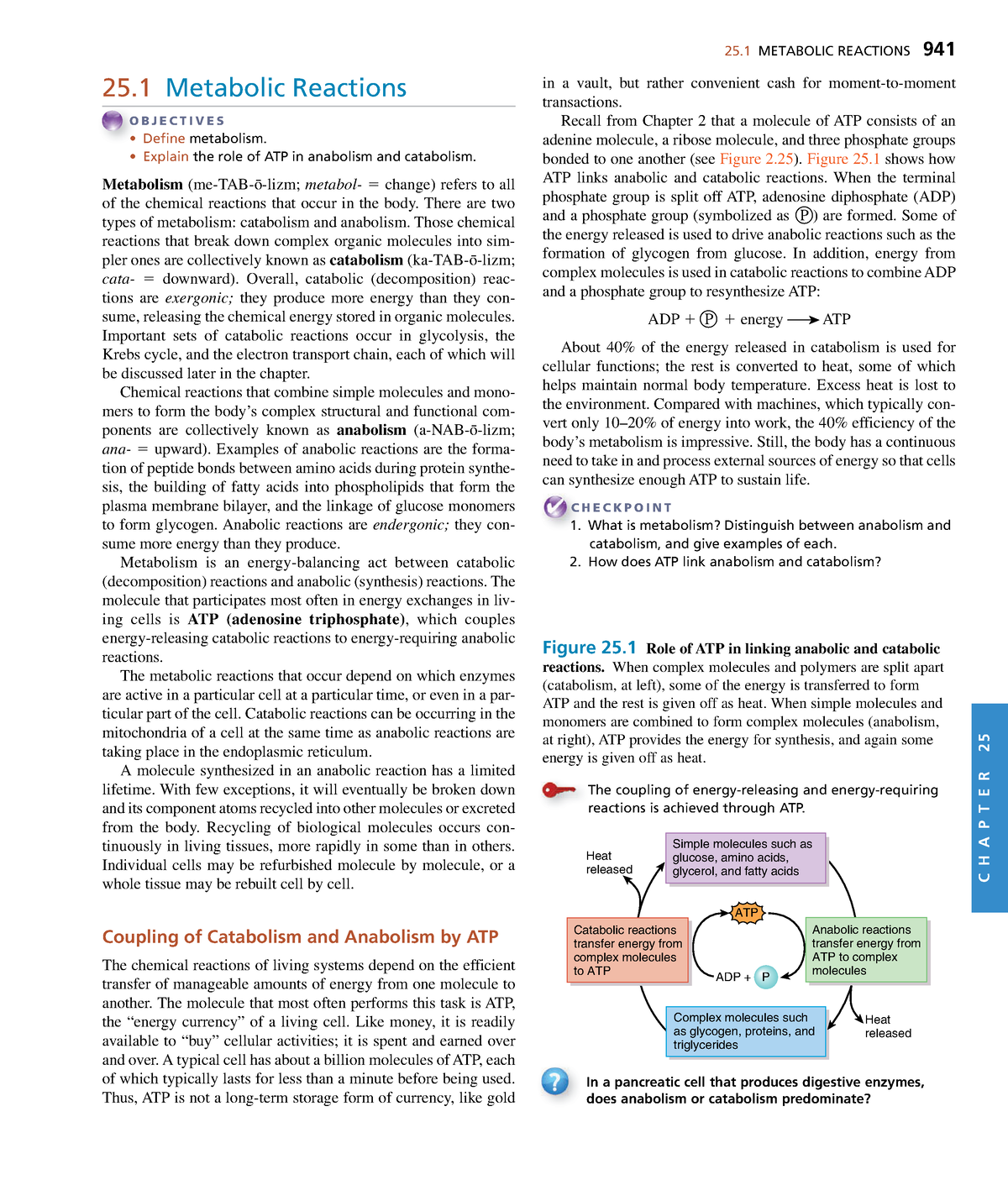 Anatomy Physiology C H A P T E R METABOLIC REACTIONS Metabolic Reactions O B