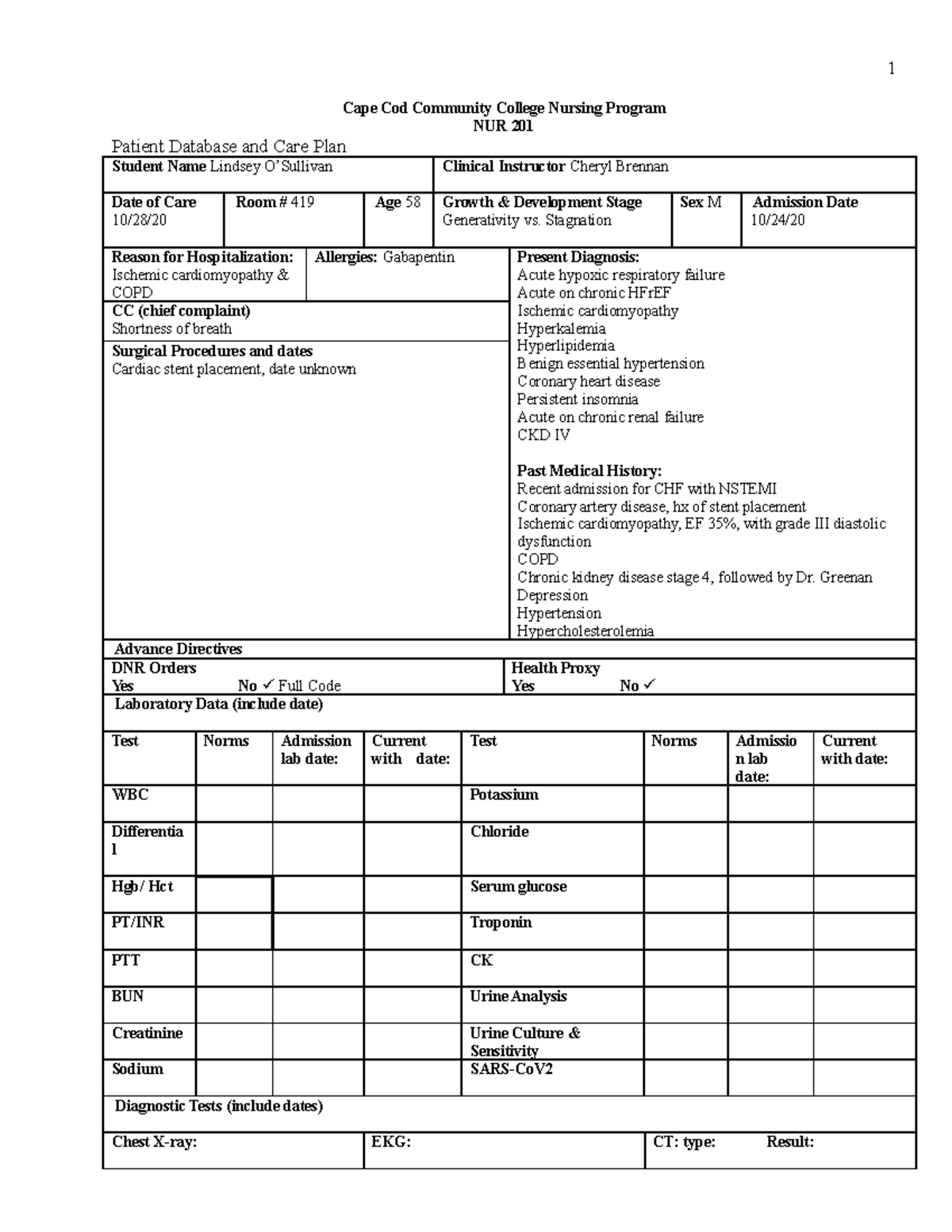 Careplan 2 care plan Cape Cod Community College Nursing Program