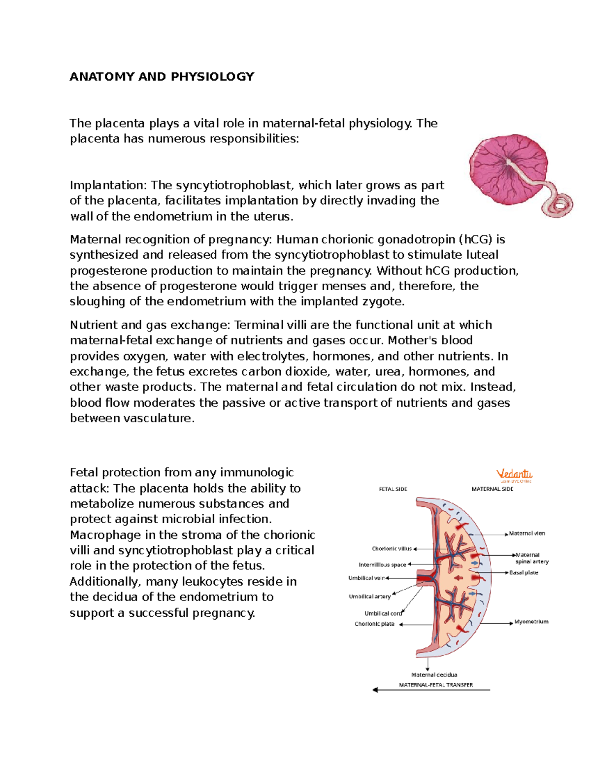 Anatomy AND Physiology - ANATOMY AND PHYSIOLOGY The placenta plays a ...
