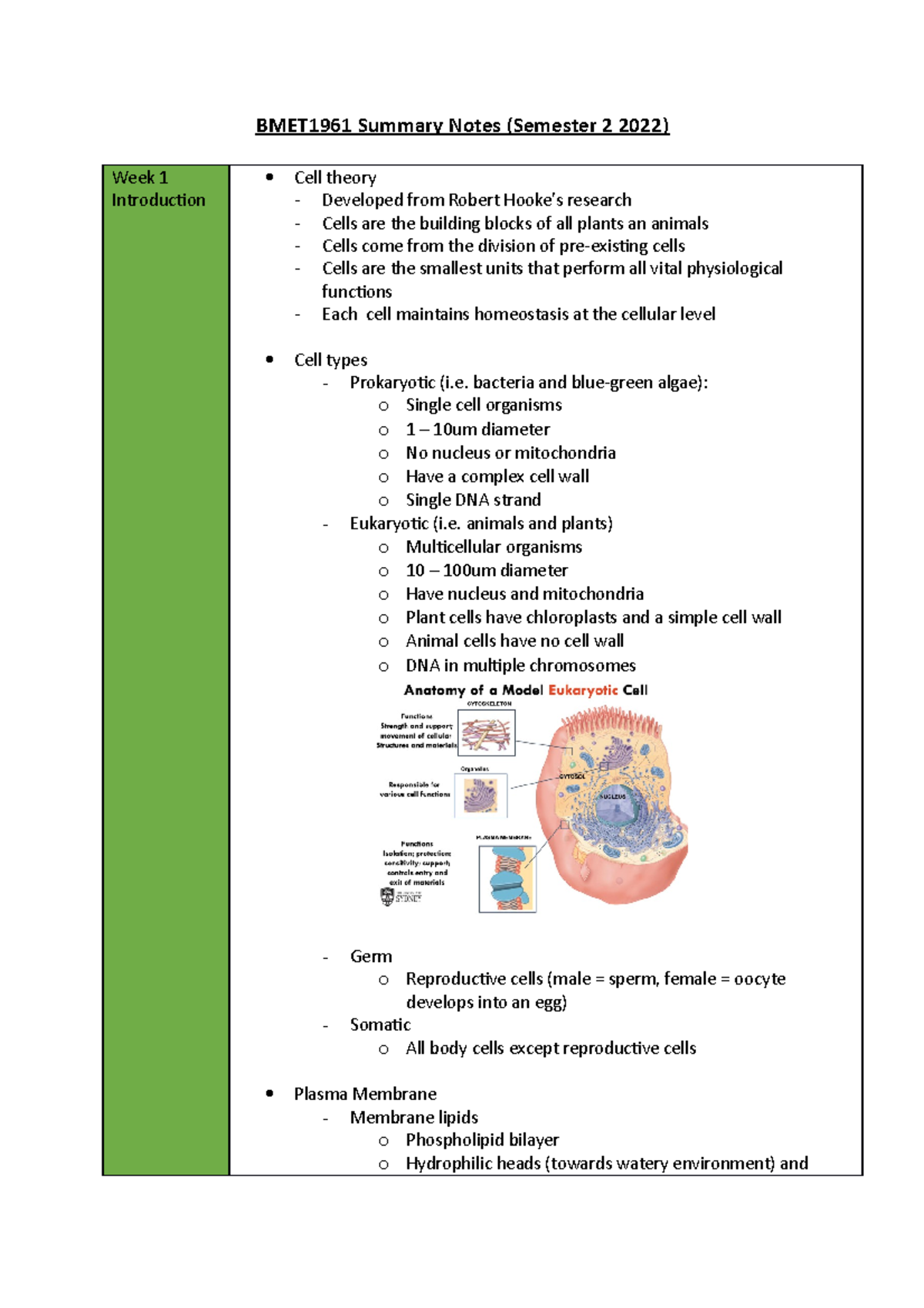 BMET1961 Summary Notes pt 1 - BMET1961 Summary Notes (Semester 2 2022 ...