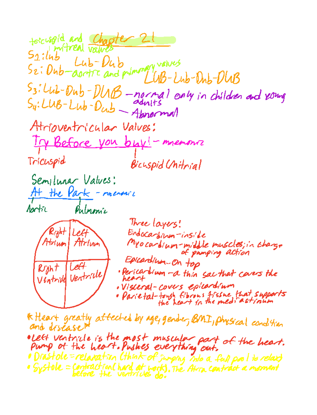 Med Surg cardio notes - 🍌🍌 ️ - capitata namepter Sa lab Lab Dub S2 Dub ...