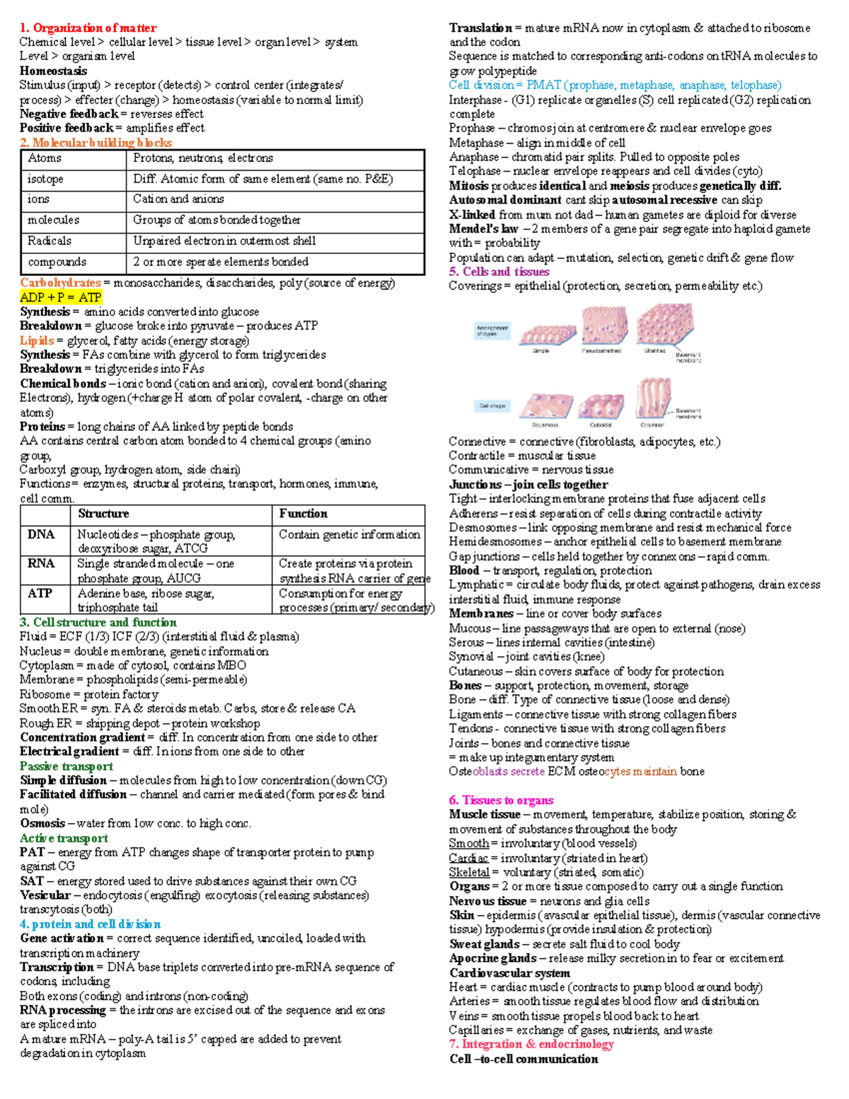 HUBS1403 memory aid - Organization of matter Chemical level > cellular ...