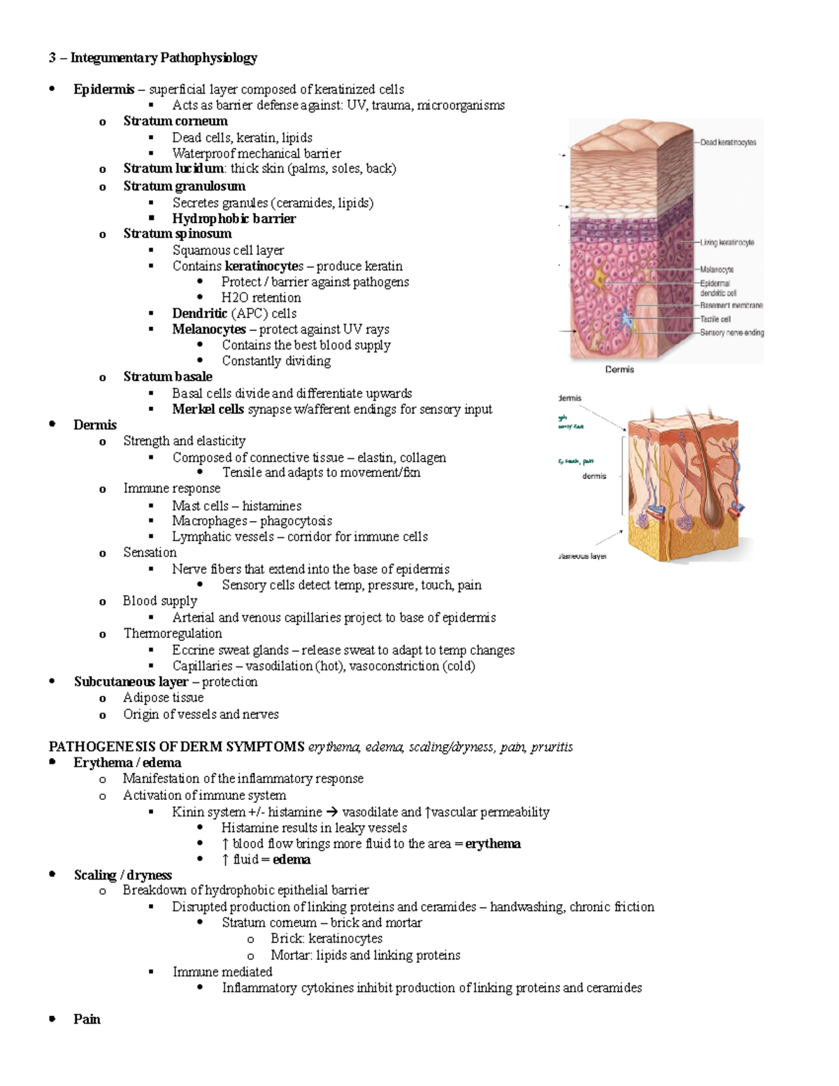 3 - Integumentary - Squamous Cell, Basal Cell Carcinoma, Melanoma - 3 ...