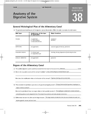 Urinary System Lecture Notes - CHAPTER 23 URINARY SYSTEM PART 2 1 ...