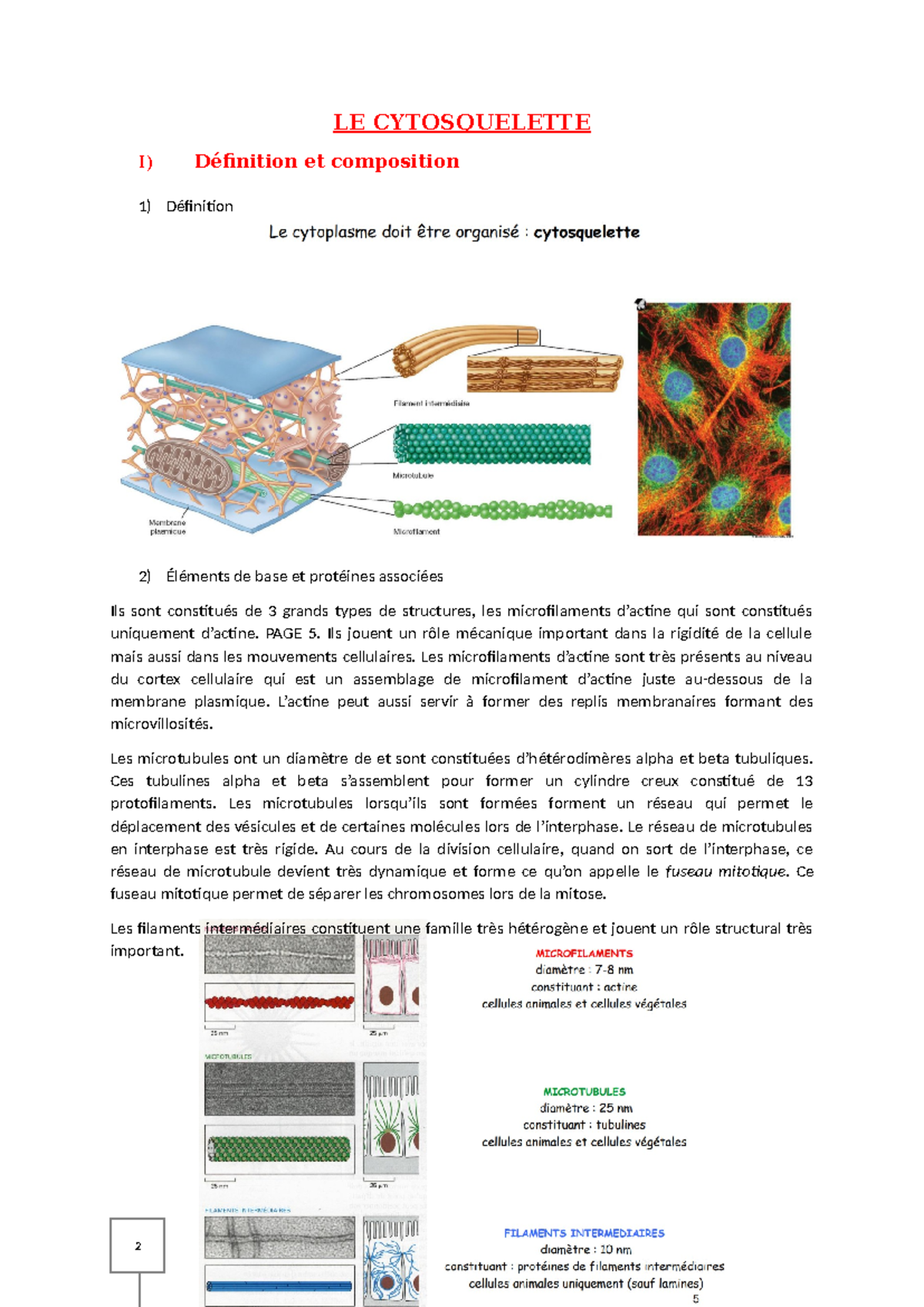 Chap7 Le Cytosquelette Le Cytosquelette I Définition Et Composition