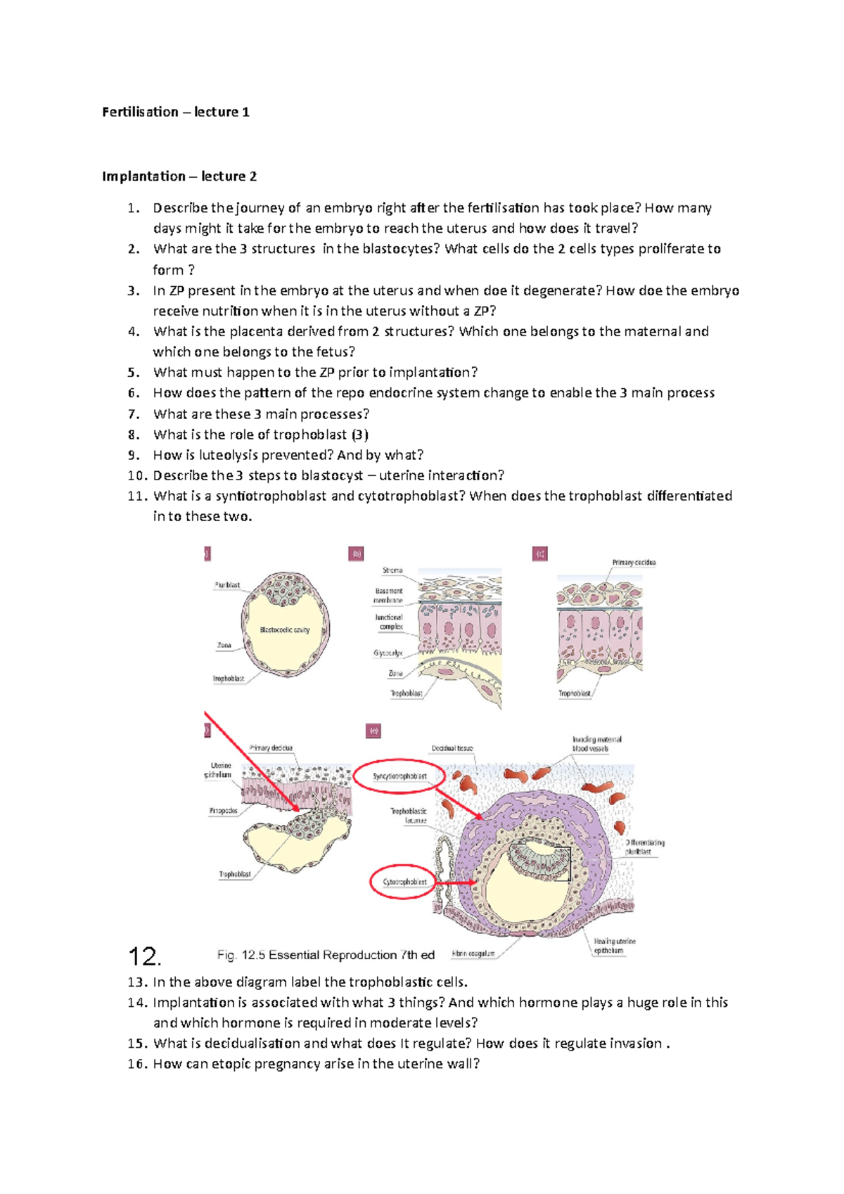 ELM modue 2 - Good notes - Fertilisation – lecture 1 Implantation ...