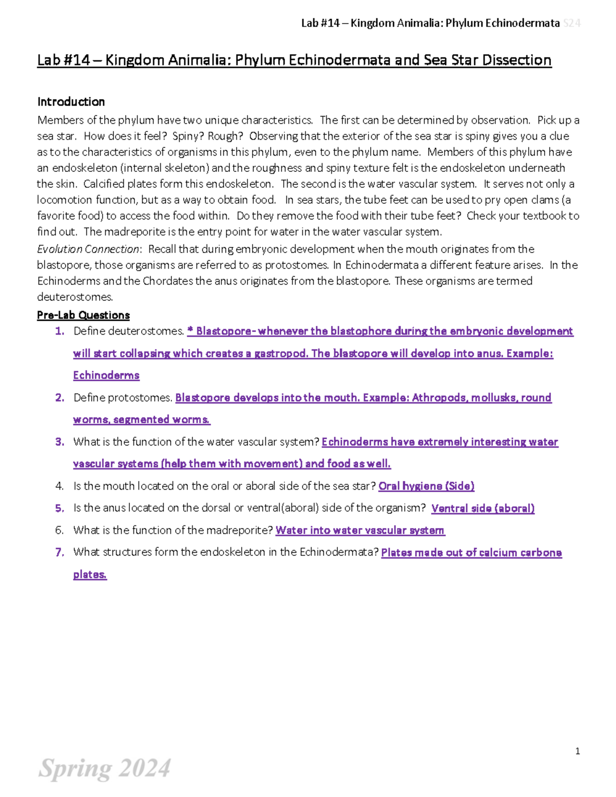 Lab #14 – Kingdom Animalia Phylum Echinodermata - The first can be ...