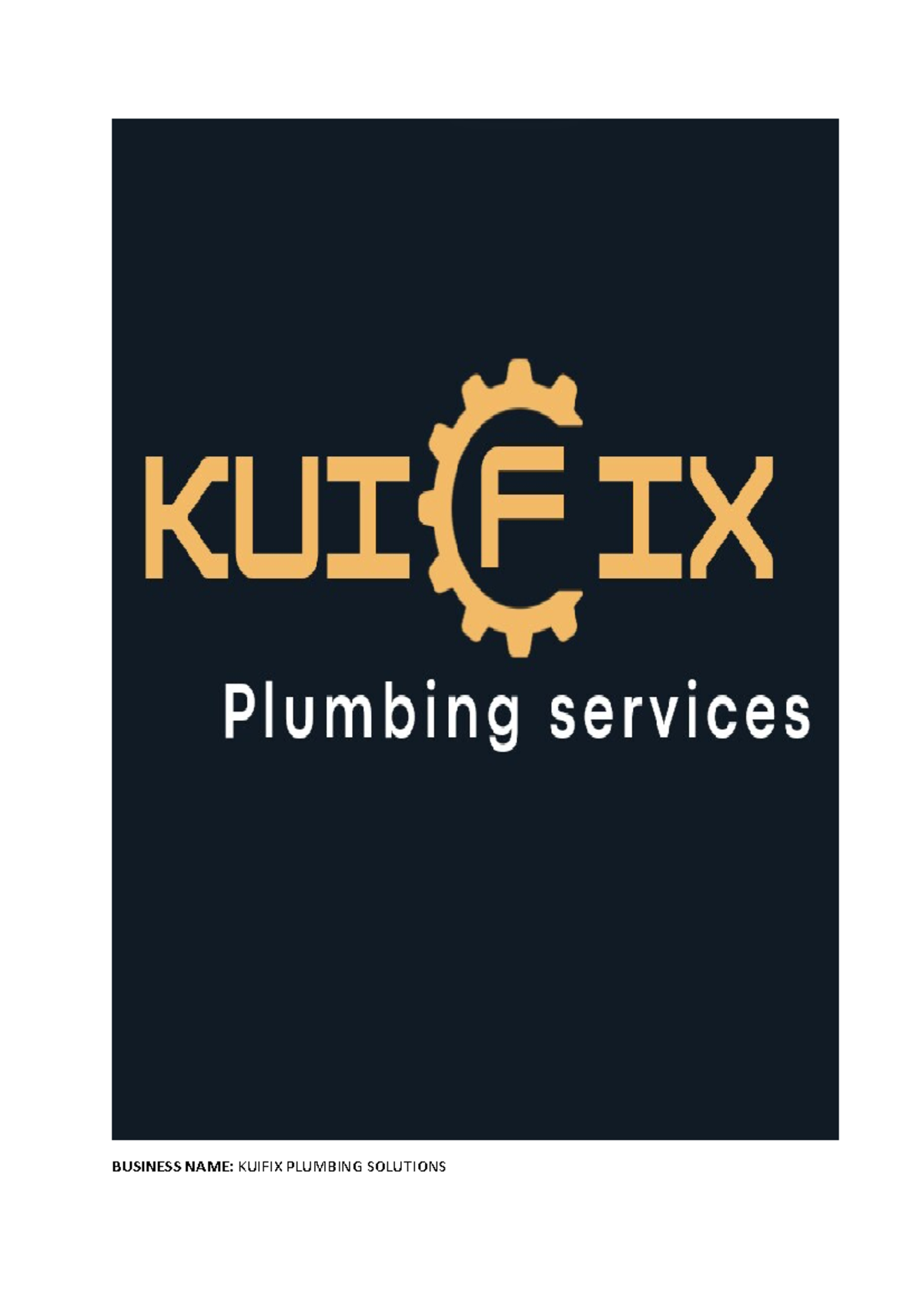 KUI Project - plumbing - BUSINESS NAME: KUIFIX PLUMBING SOLUTIONS