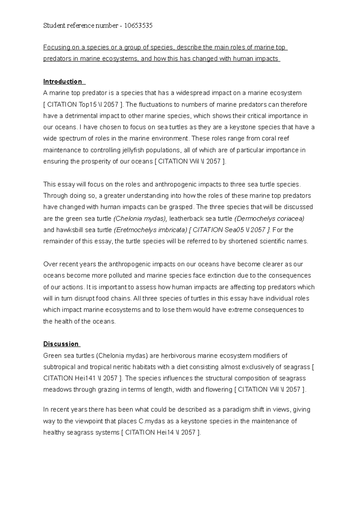 Marine Predator Essay Grade B+ Focusing on a species or a group of