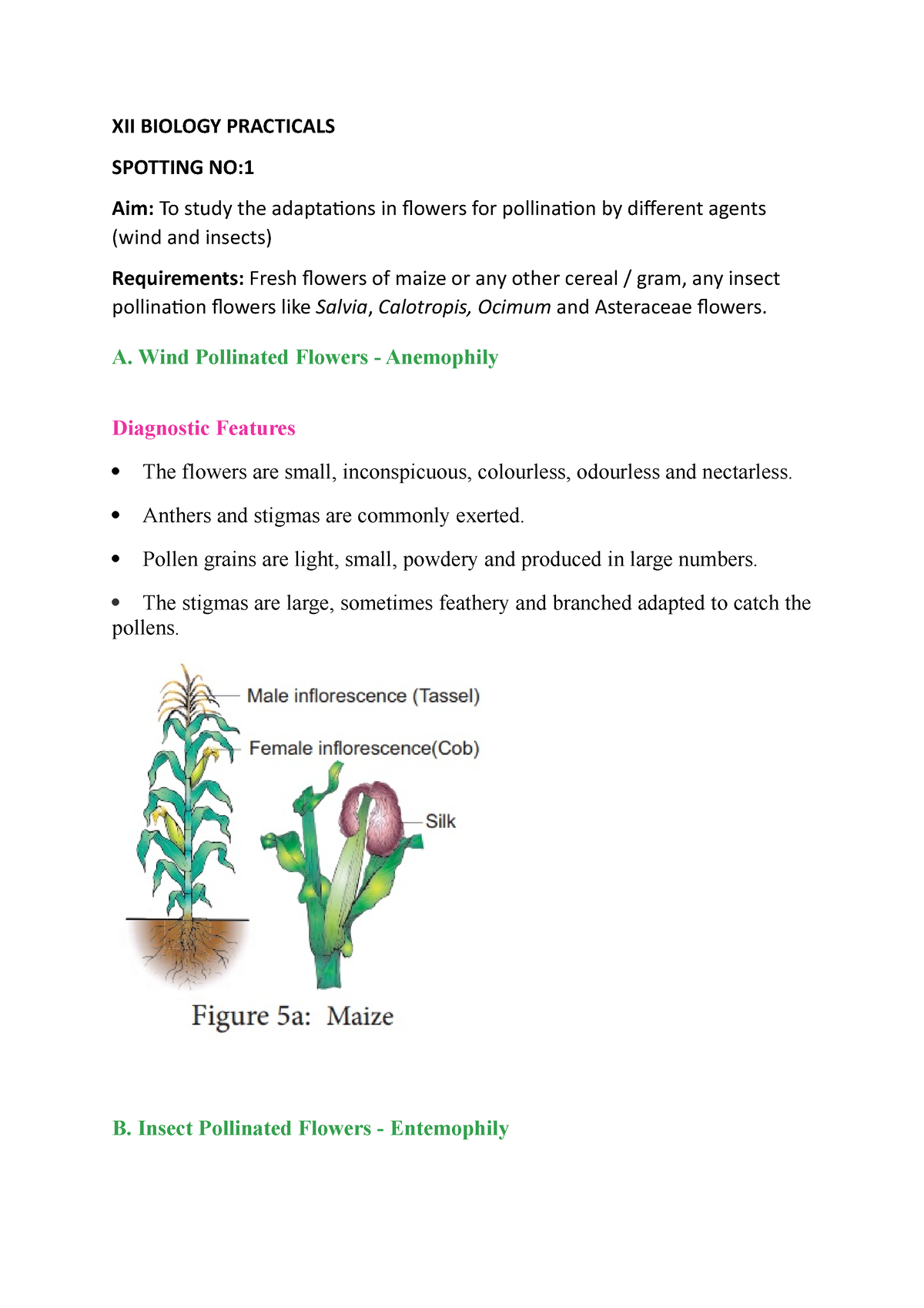 xii-biology-spotting-22-23-xii-biology-practicals-spotting-no-aim