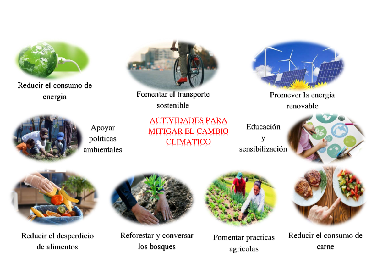 Cambio climatico - Agentes contaminantes - ACTIVIDADES PARA MITIGAR EL ...