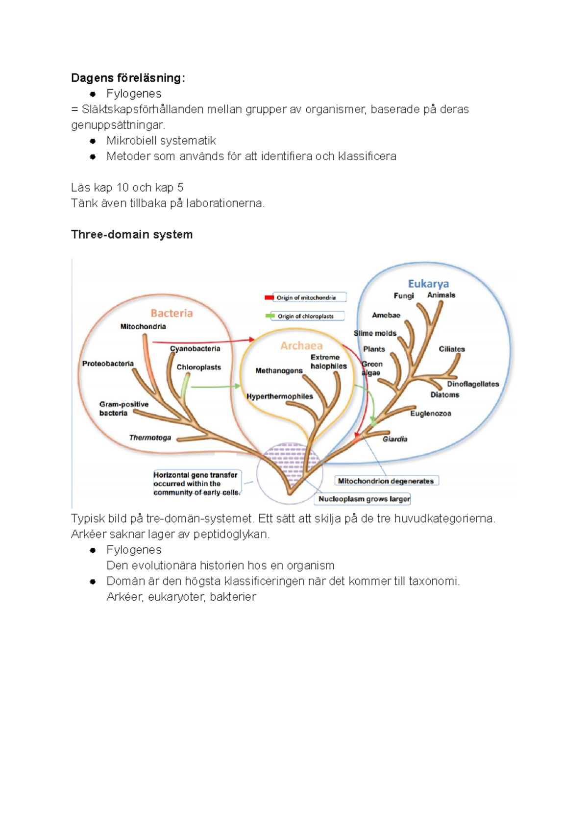 classification-of-microbes-dagens-f-rel-sning-fylogenes