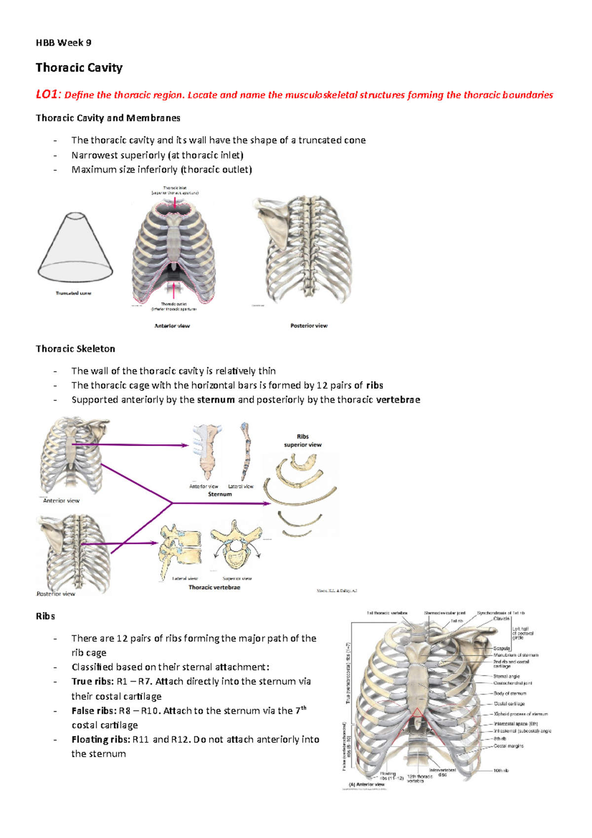 HBB Week 9 - Lecture notes 9 - HBB Week 9 Thoracic Cavity LO1: Define ...