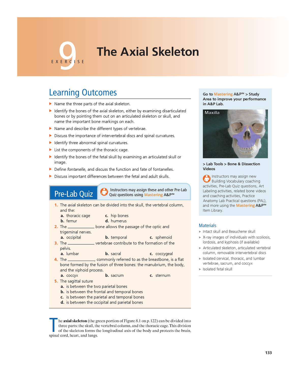 axial-skeleton-laboratory-exercise-133-9-the-axial-skeleton-e-x-e-r-c