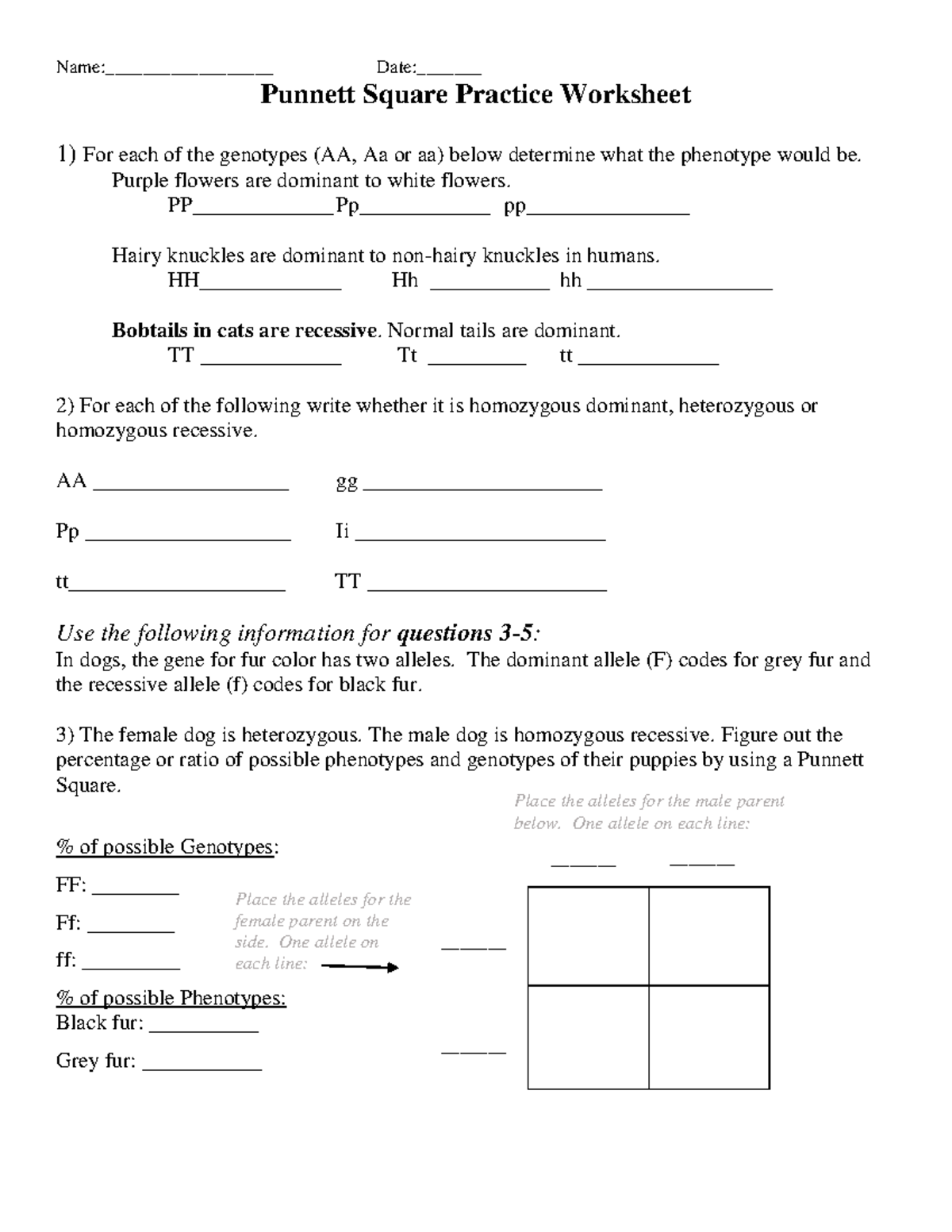 Punnet Square Practice Worksheet-1 - Purple flowers are dominant to ...