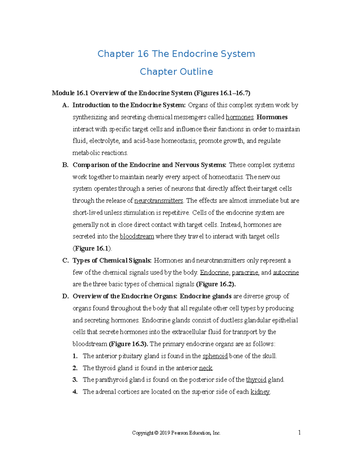 Chapter 16 Outline - Lecture Notes 16 - Chapter 16 The Endocrine System ...