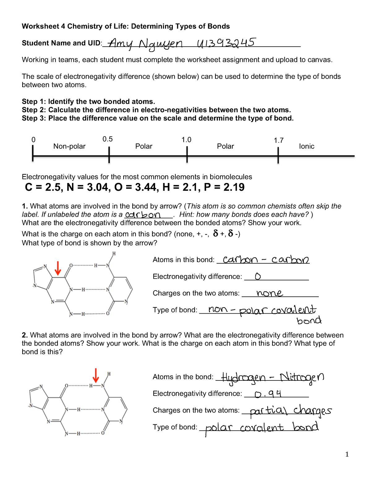 worksheet-4-types-of-bonds-1-worksheet-4-chemistry-of-life