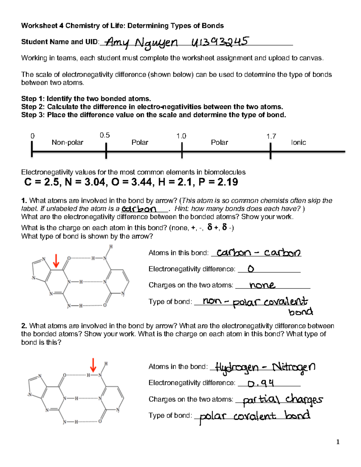 worksheet-4-types-of-bonds-1-worksheet-4-chemistry-of-life