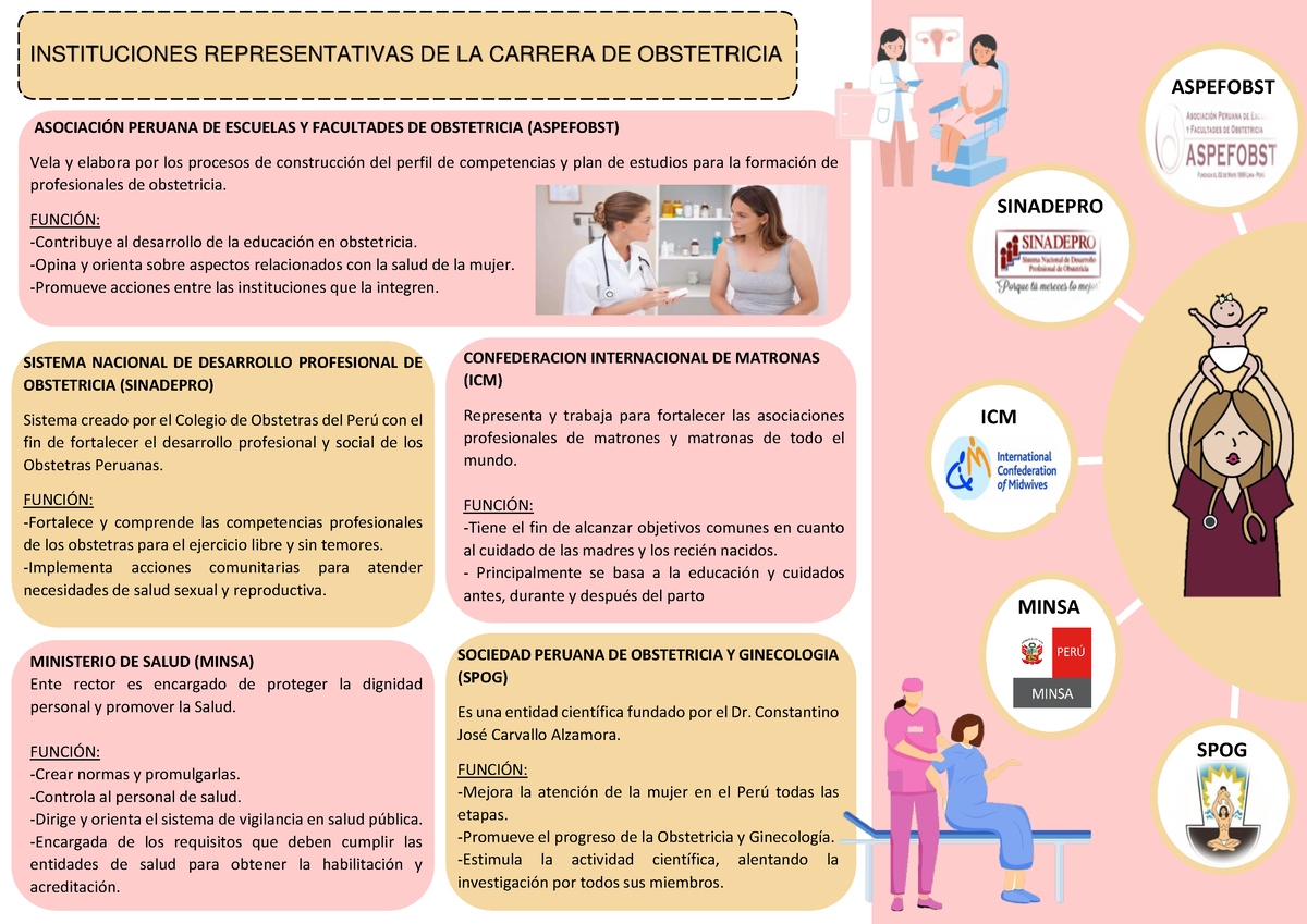 Infografia Obstetricia 1123 Instituciones Representativas De La Carrera De Obstetricia 