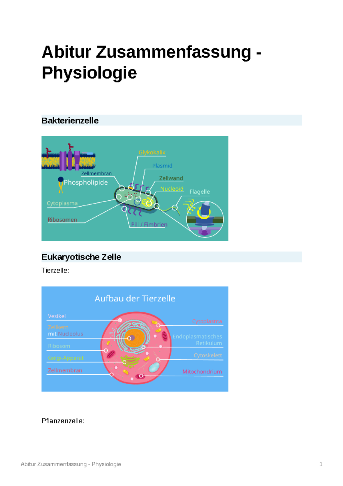 Mündliche Prüfung Biologie Abitur Beispielaufgaben Abiturzusammenfassung Biologie Q1 - Abitur Zusammenfassung