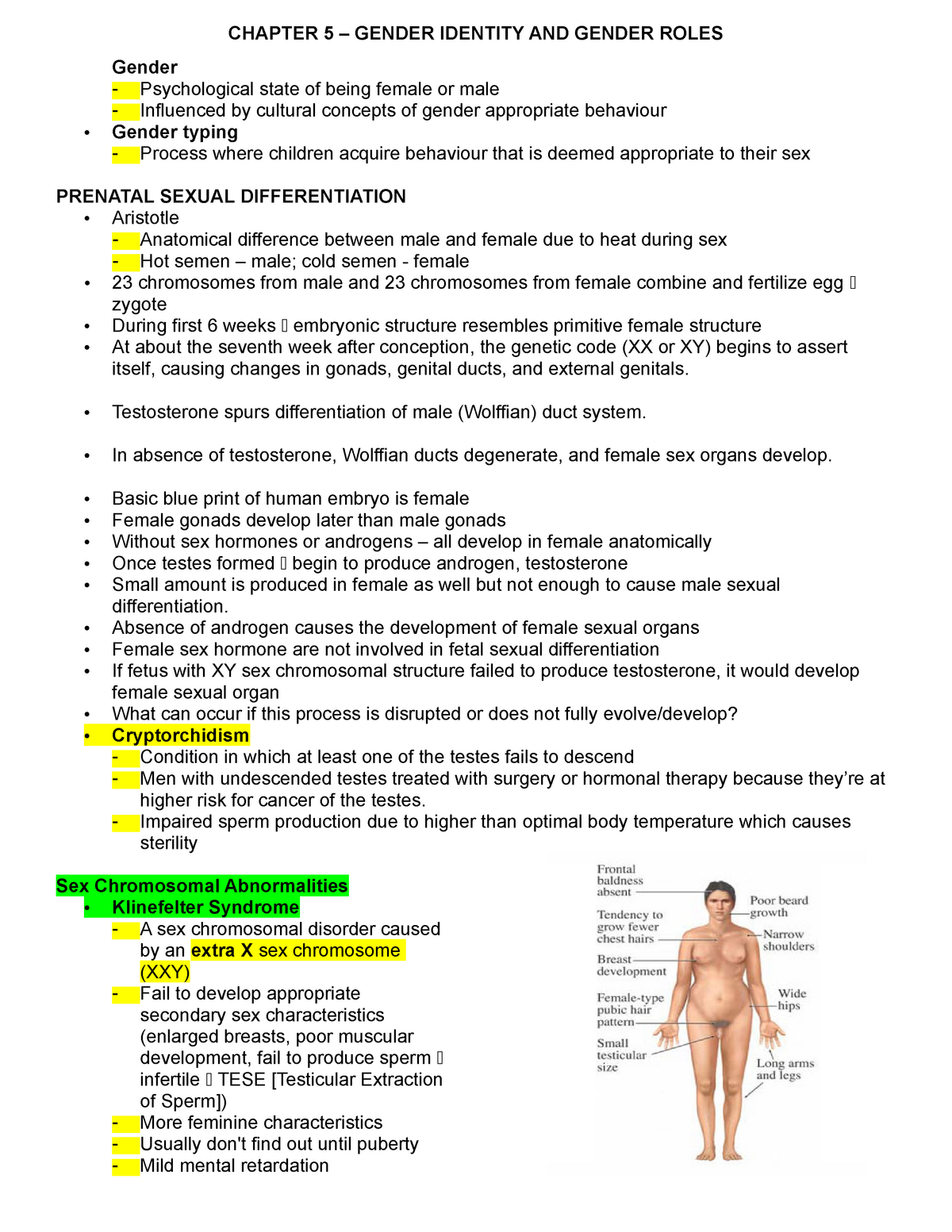 Chapter 5 Skeletal 4th Ed Collab 2d03 Human Sexuality Studocu