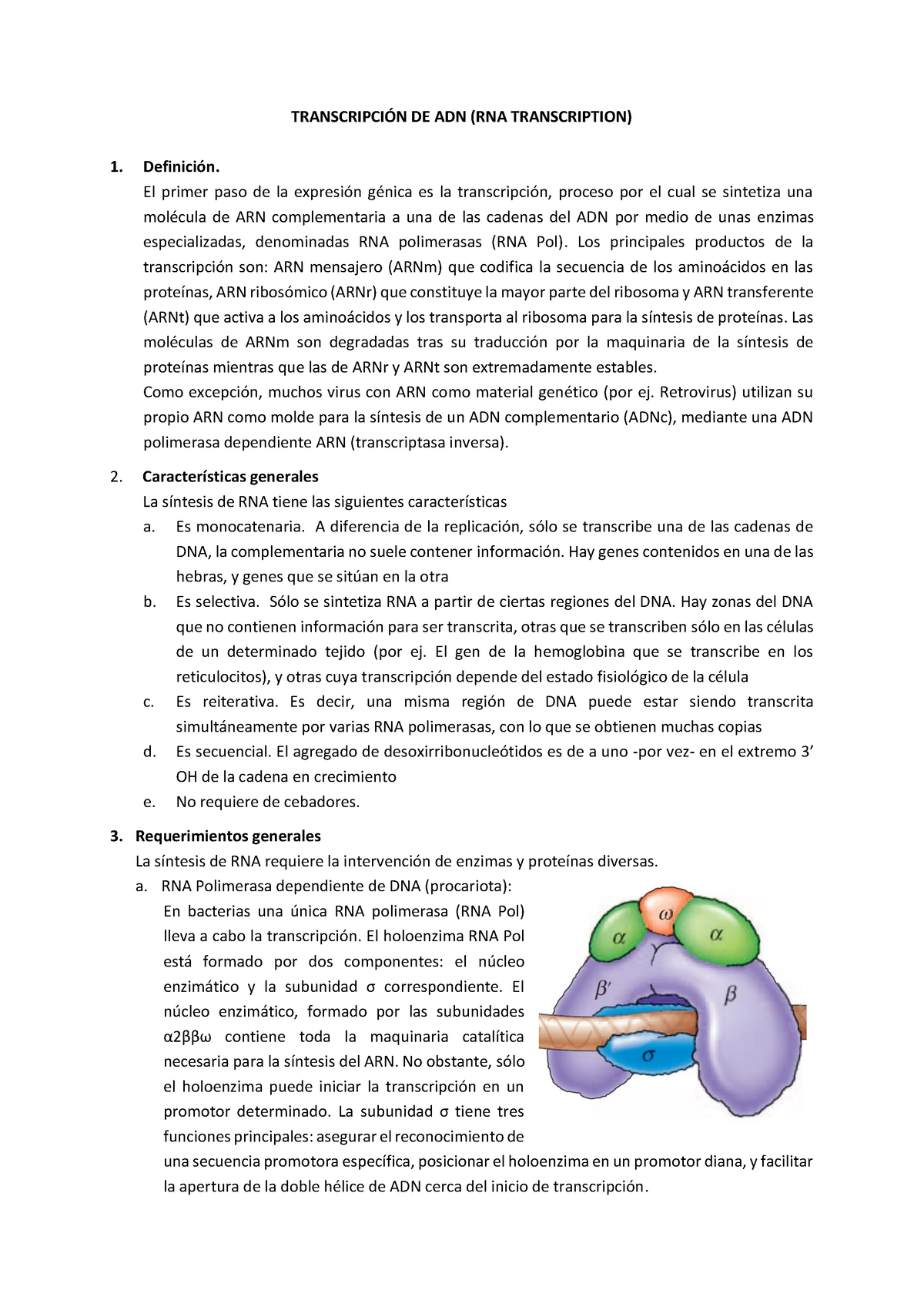 Semana 10 Transcripción Traducción 2022-10 - TRANSCRIPCI”N DE ADN (RNA ...