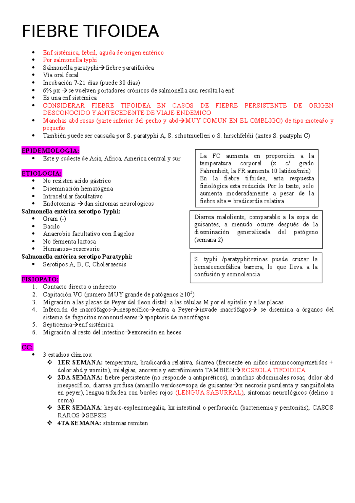 Fiebre Tifoidea Descripcion Tx Y Diagnostico Clinico Fiebre