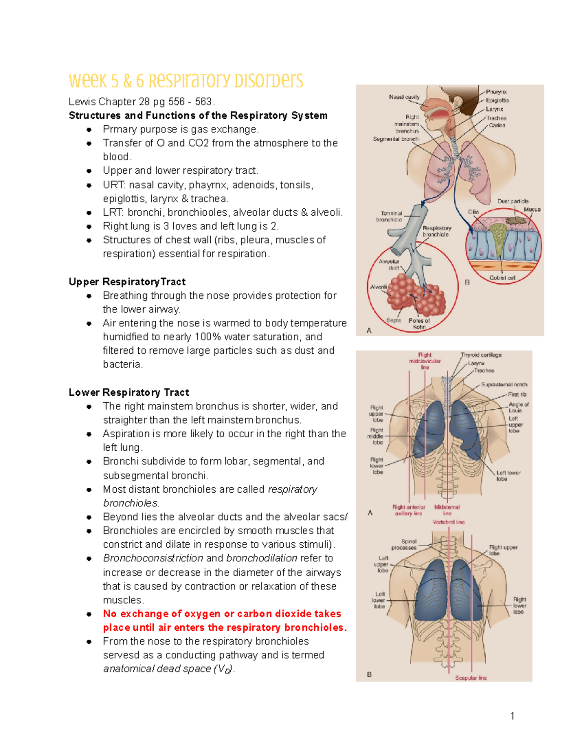 Week 5 Respiratory Disorders - Week 5 & 6 Respiratory Disorders Lewis ...