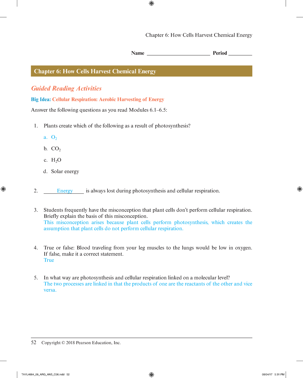 mastering biology chapter 6 homework