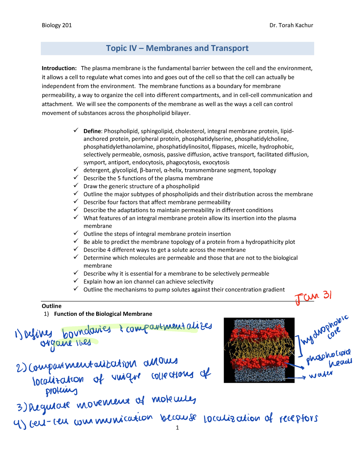 Topic 4 Membranes Biol1 Ualberta Studocu