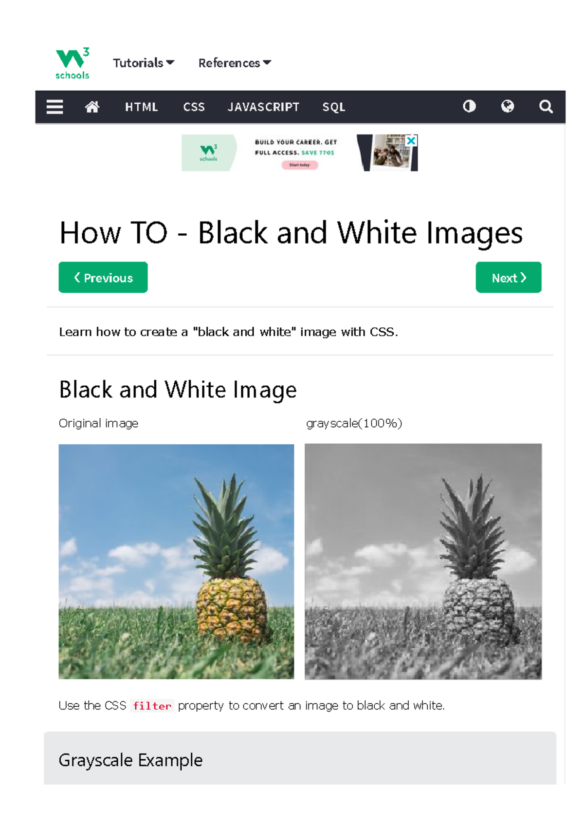 Howtohowto css image bw Previous Next Original image grayscale(100