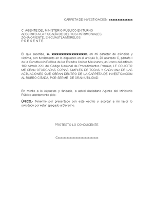 Modelo De Escrito Denuncia De Delito Por Lesiones Agente Del Ministerio P Blico Adscrito A La