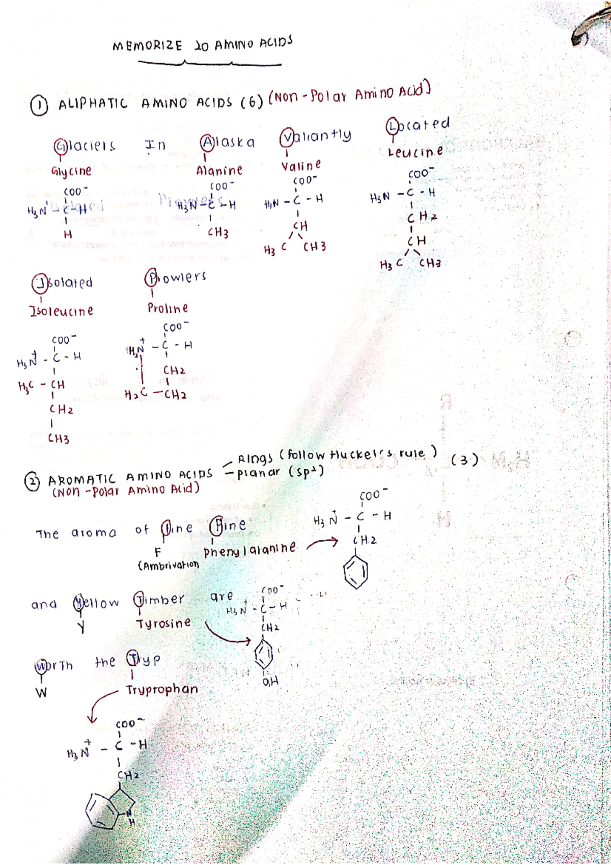 20 Amino Acids Memorization - Genetic Engineering - Studocu