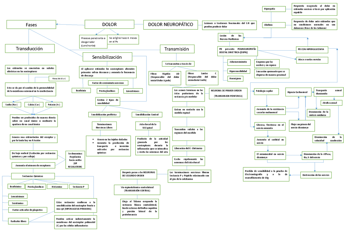 Mapa conceptual Mecanismo del dolor - Las terminaciones nerviosas liberan  Sustancia P y Péptido - Studocu