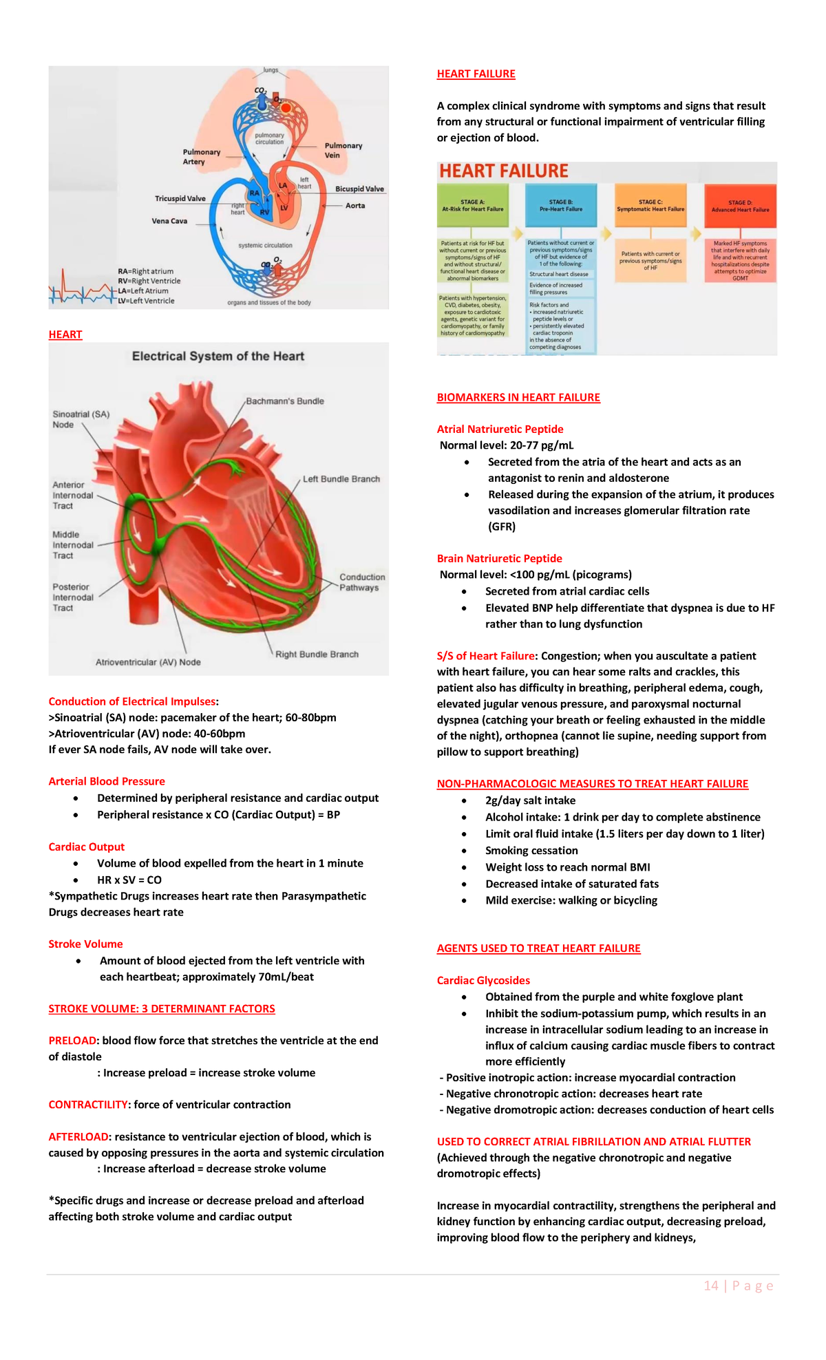 Heart Failure - 14 | P a g e HEART Conduction of Electrical Impulses ...