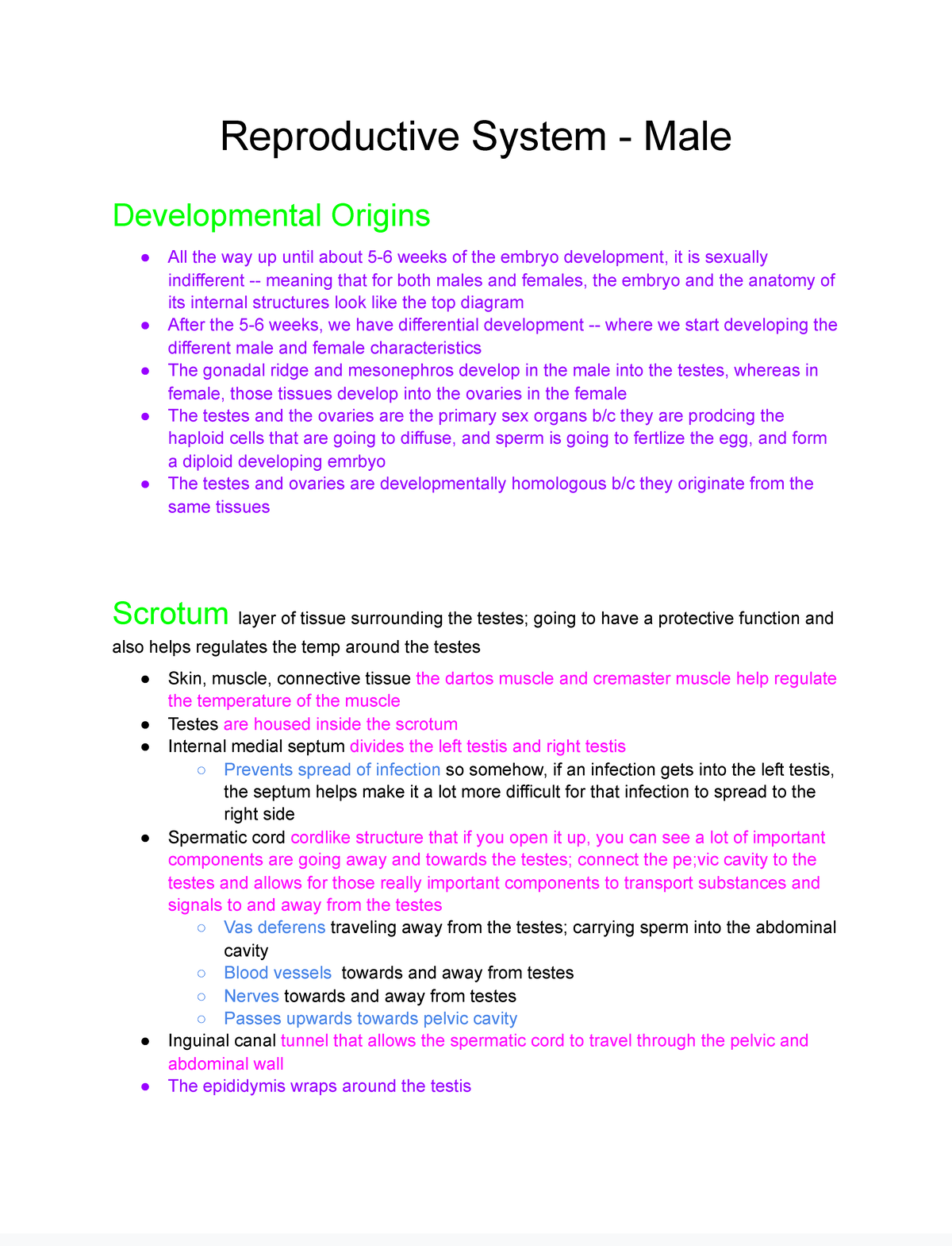 Reproductive- male - Dr.Waltz - Reproductive System - Male ...