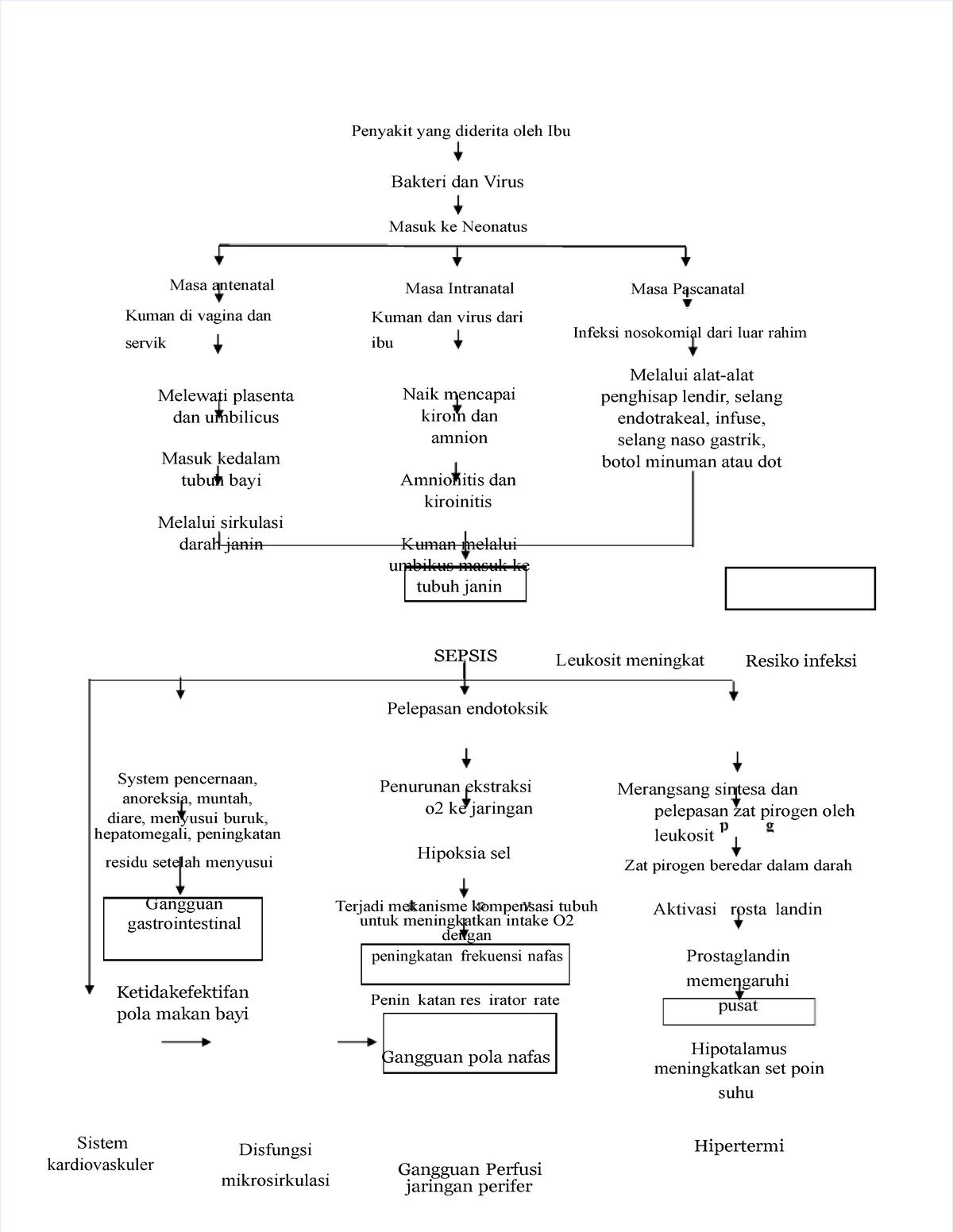 Pathway Sepsis Neonatorum - vrogue.co