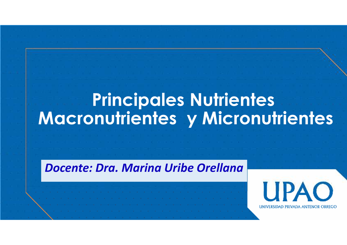 S3 Ppt Principales Maro Y Micronutrientes Principales Nutrientes Macronutrientes Y 6914