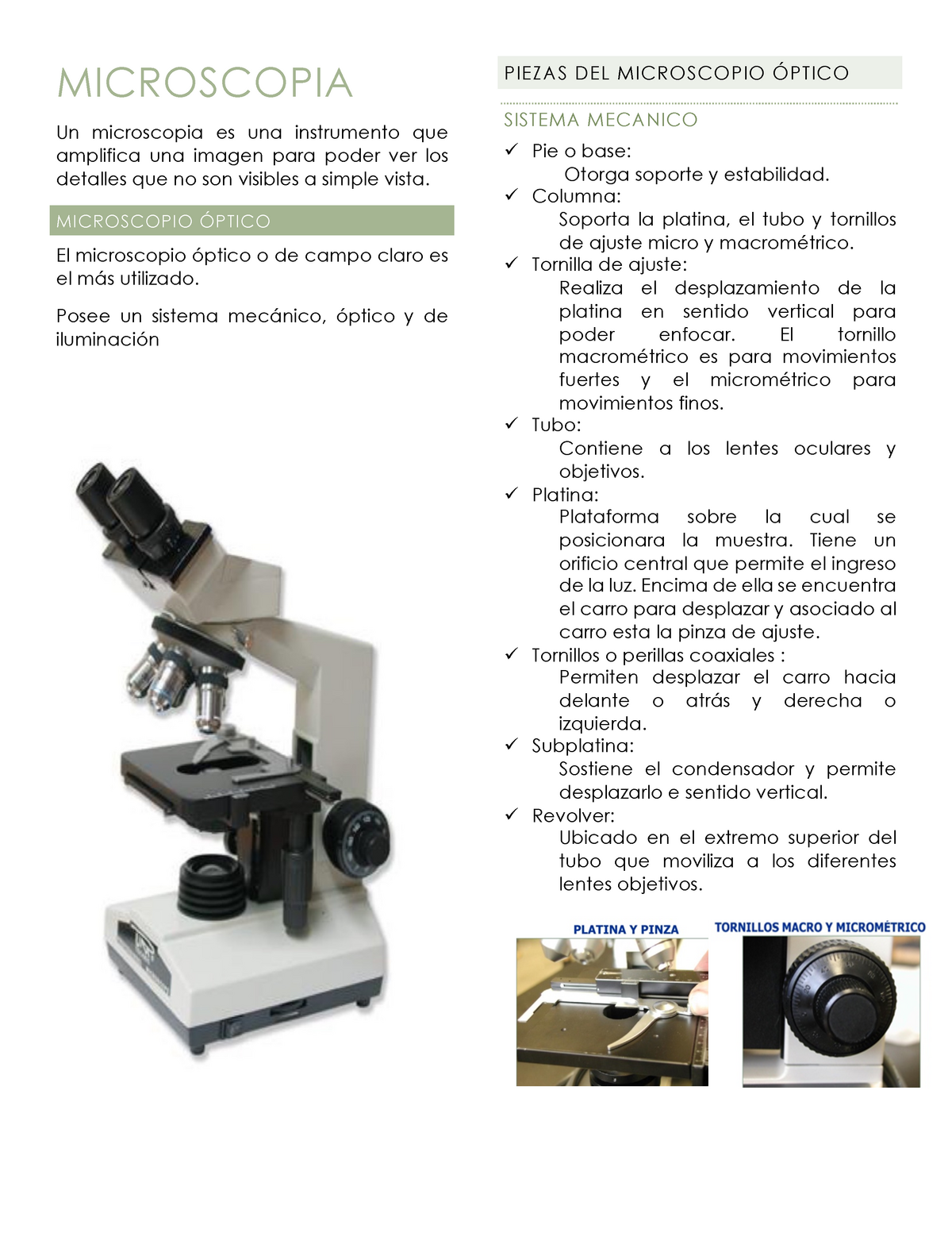 Clase Microscopia Histoembriología 11 de Agosto 2021 MICROSCOPIA Un es - StuDocu