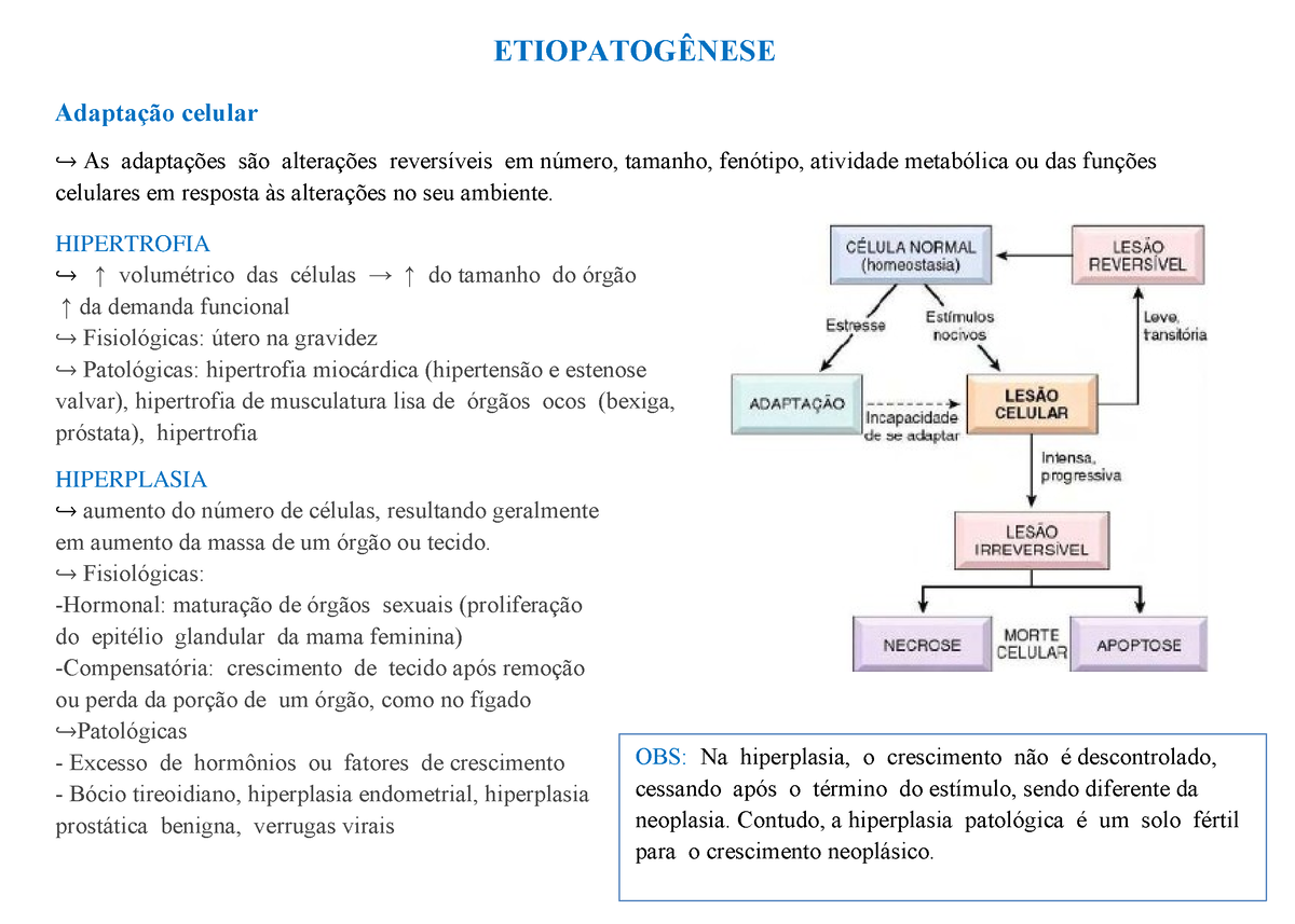 Bases Patológicas I - ETIOPATOGÊNESE Adaptação Celular ↪ As Adaptações ...