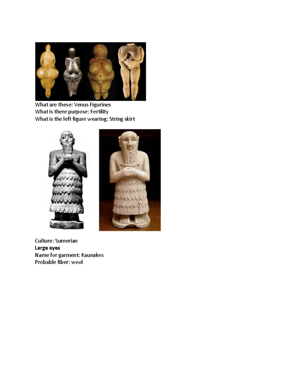 TMD 441 EXAM 13 Pictures What are these Venus Figurines What is