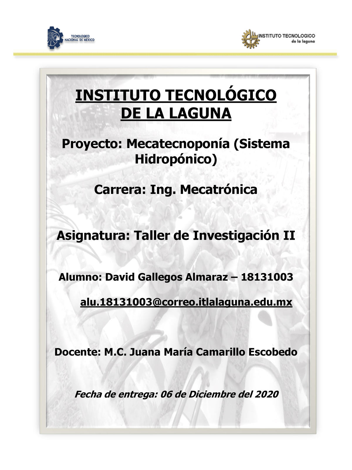 Proyecto Final- Taller Inv II - INSTITUTO TECNOL”GICO DE LA LAGUNA ...