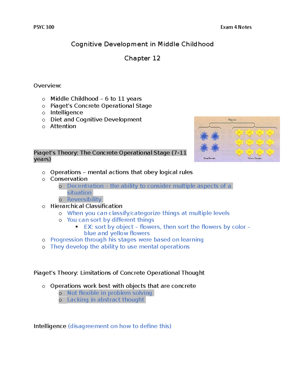 All Exam 4 Notes Greg Reynolds Ph.D Cognitive Development in